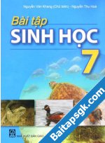 Bài 1,2,3,4,5,6,7,8,9,10,11,12,13 trang 105 SBT Sinh 7: Bài 1. Hãy nêu đặc điểm đòi sống và sinh sản của...