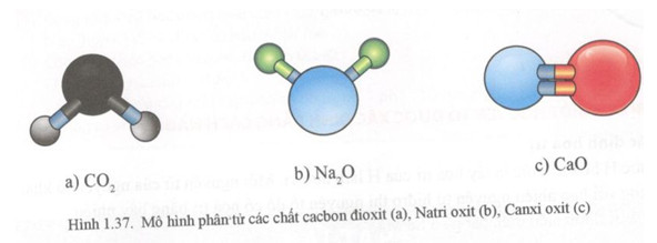 Carbon dioxide  Wikipedia tiếng Việt