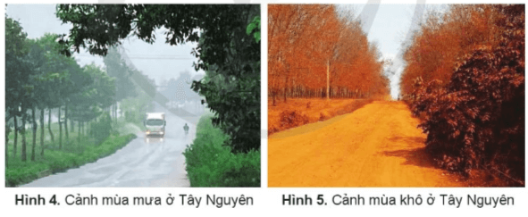 Lịch Sử và Địa Lí lớp 4 Cánh diều Bài 15: Thiên nhiên vùng Tây Nguyên (ảnh 5)