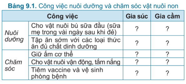 TableDescription automatically generated