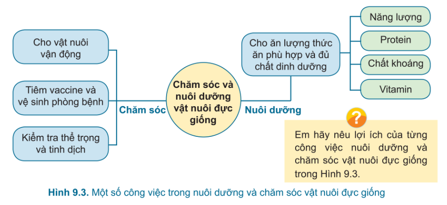 DiagramDescription automatically generated