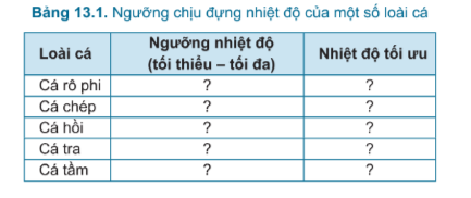 TableDescription automatically generated