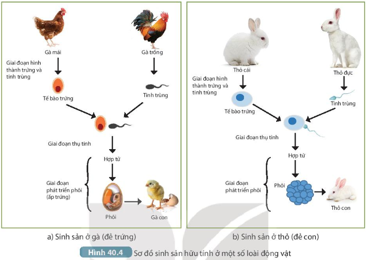 DiagramDescription automatically generated