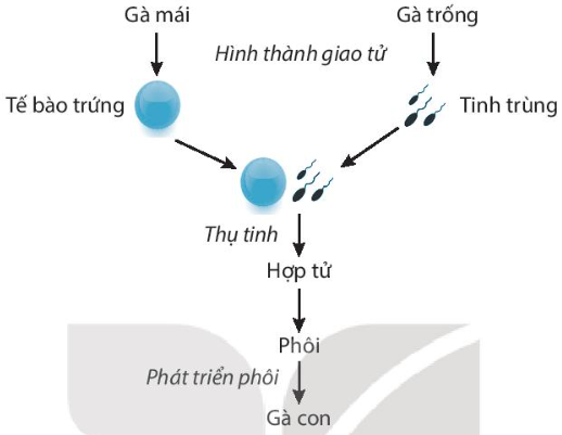 DiagramDescription automatically generated