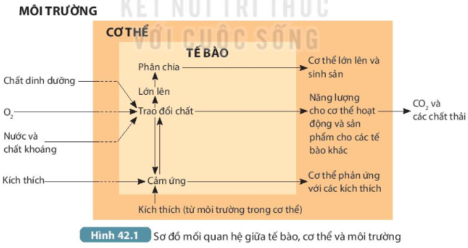 DiagramDescription automatically generated