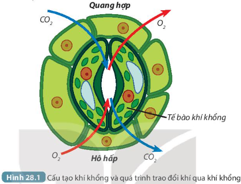 DiagramDescription automatically generated