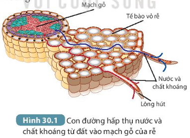 DiagramDescription automatically generated