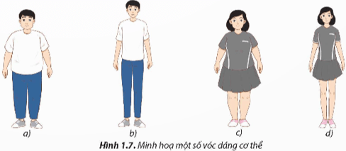 Em hãy xác định vóc dáng của các bạn được minh họa trong Hình 1.7