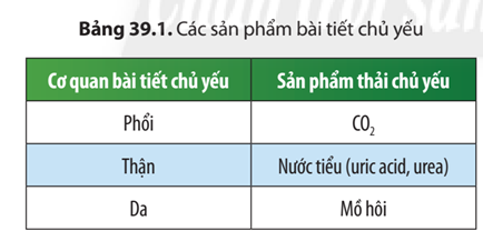 Từ thông tin và Bảng 39.1, hãy cho biết nếu một trong các cơ quan bài tiết