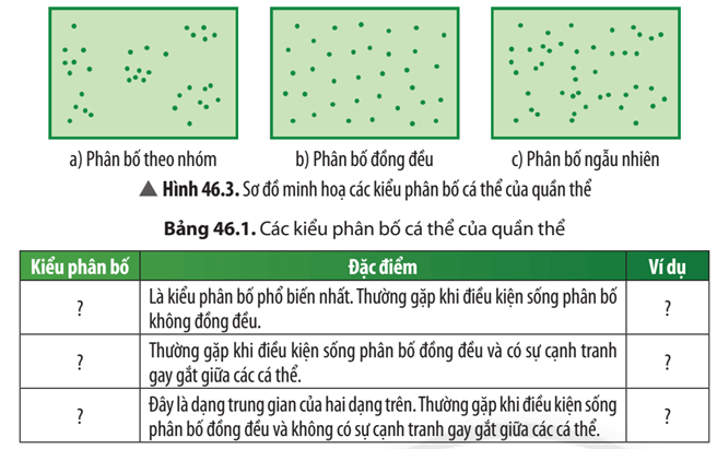 Quan sát Hình 46.3, hãy xác định đặc điểm tương ứng của mỗi