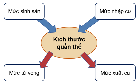 Hoàn thành sơ đồ sau thể hiện sự ảnh hưởng của các yếu tố