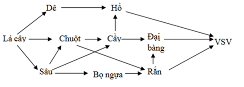 Cho ví dụ về chuỗi thức ăn và lưới thức ăn trong tự nhiên.