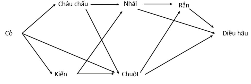 Tại một đồng cỏ có các sinh vật sau: cỏ, châu chấu, diều hâu